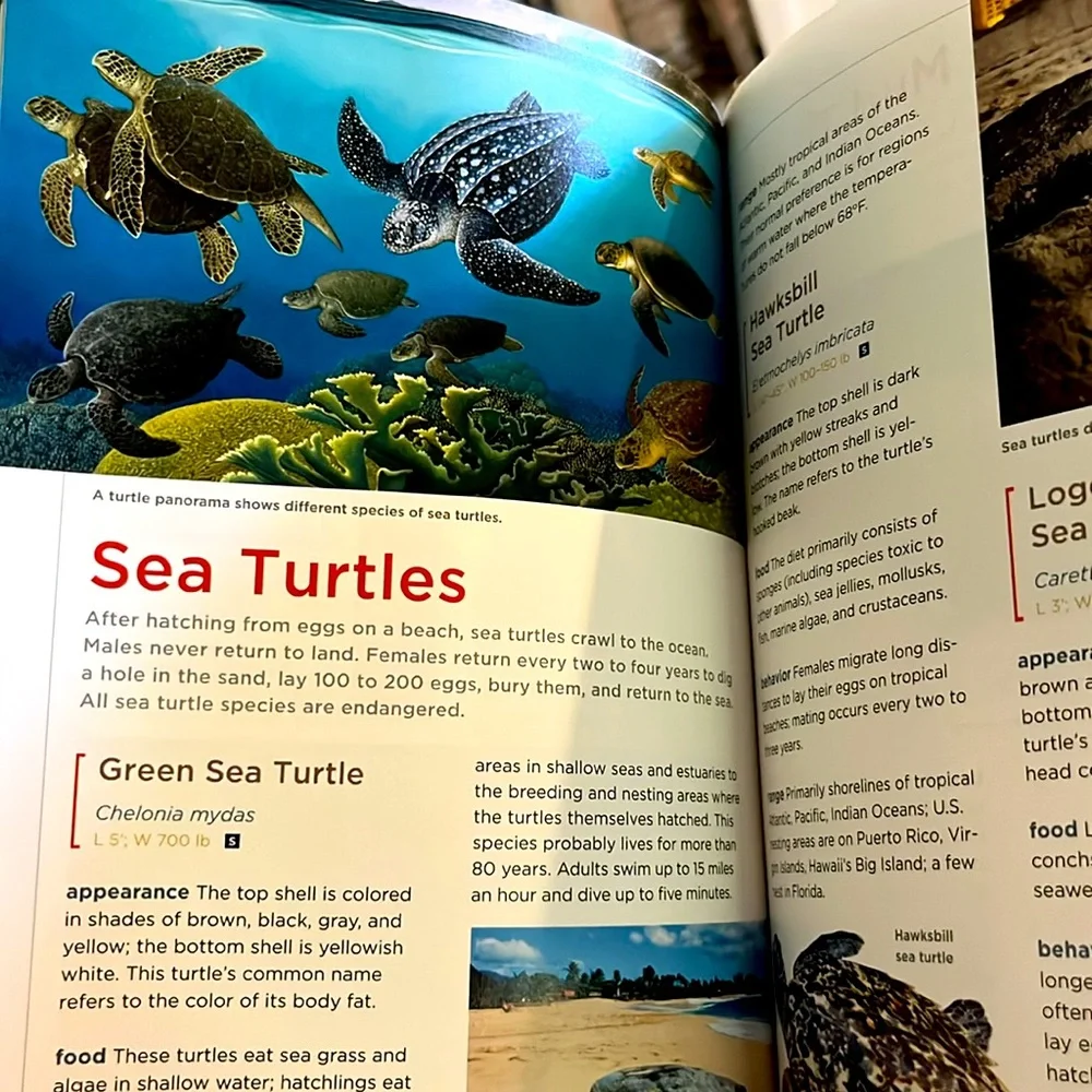 National Geographic Field Guide to the Water's Edge Hardcover Book EXC - Picture 10 of 16